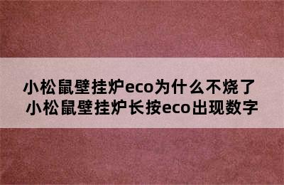 小松鼠壁挂炉eco为什么不烧了 小松鼠壁挂炉长按eco出现数字